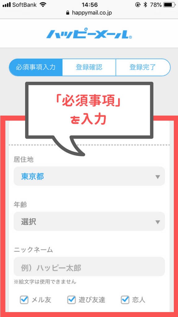 ハッピーメール必須事項入力